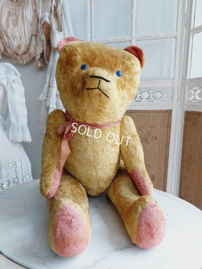 画像23: JPMフレンチテディベア