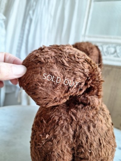 画像13: JPMドッグ