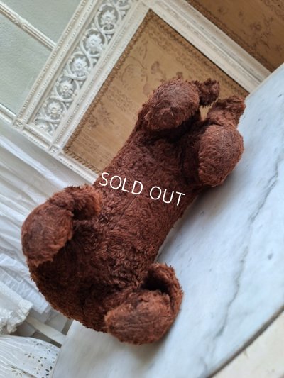 画像14: JPMドッグ