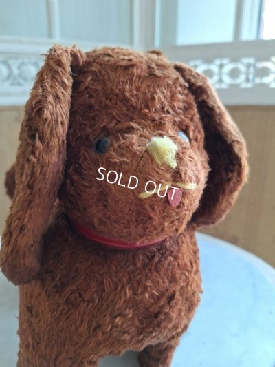 画像6: JPMドッグ