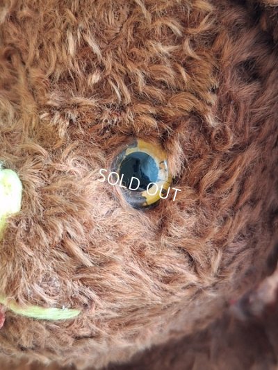 画像3: JPMドッグ