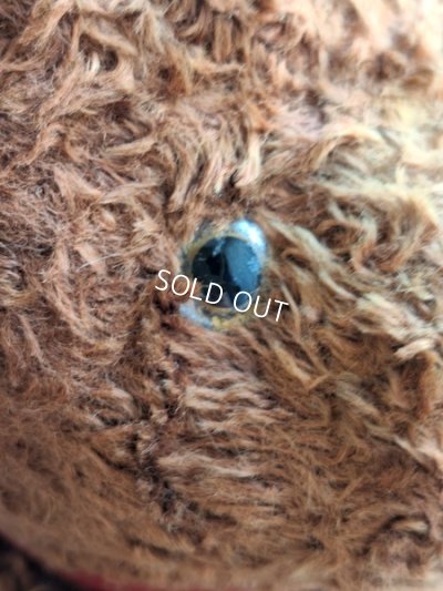 画像4: JPMドッグ