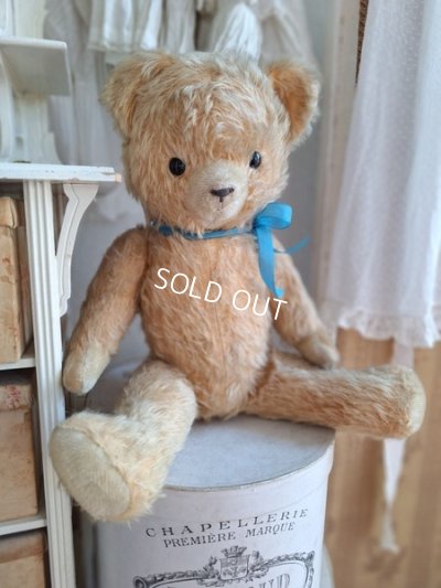 antiqueteddybear
