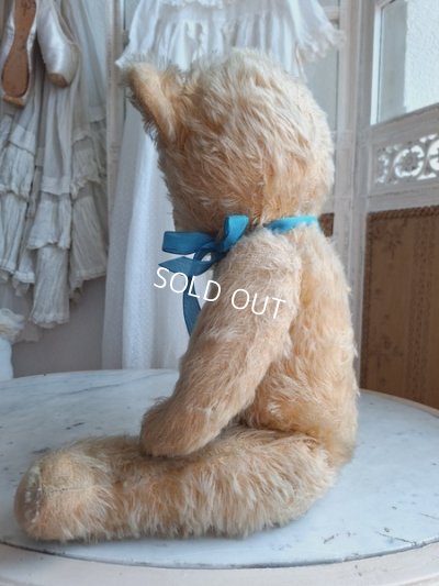 画像5: アンティークテディベア