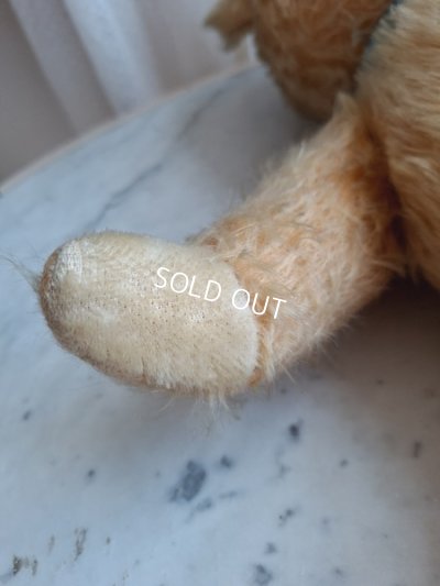 画像15: アンティークテディベア