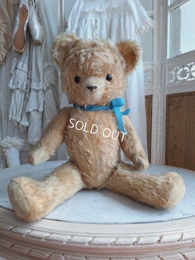 画像8: アンティークテディベア