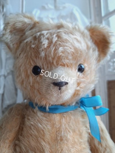 画像2: アンティークテディベア