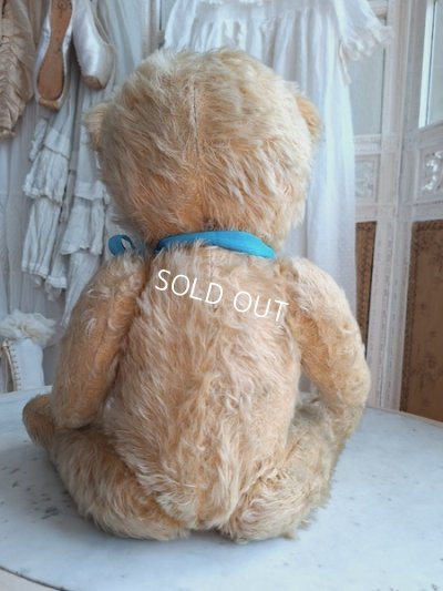 画像10: アンティークテディベア