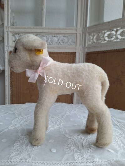 画像14: シュタイフ羊Lamby