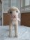 画像11: シュタイフ羊Lamby