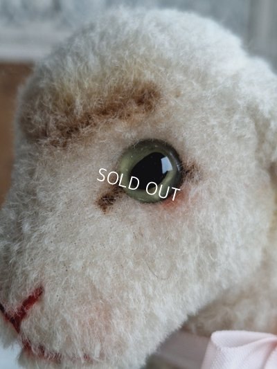 画像5: シュタイフ羊Lamby