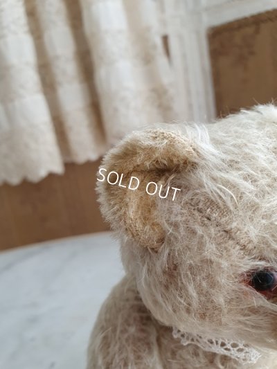 画像5: アンティークハーマンテディベア