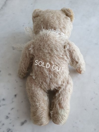 画像13: アンティークハーマンテディベア