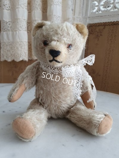 画像6: アンティークハーマンテディベア