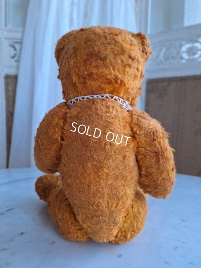 画像12: フレンチテディベア