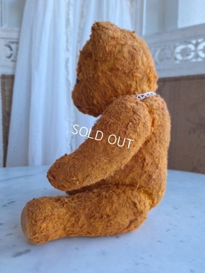 画像13: フレンチテディベア