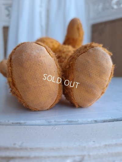 画像14: フレンチテディベア