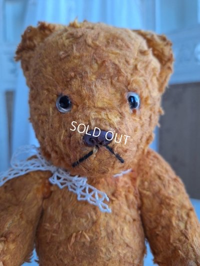 画像2: フレンチテディベア