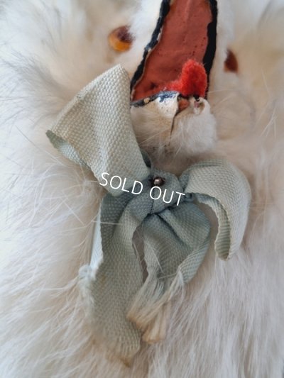 画像9: ジュモードッグ