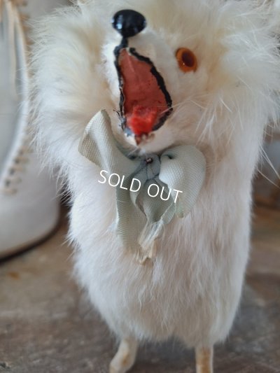 画像3: ジュモードッグ