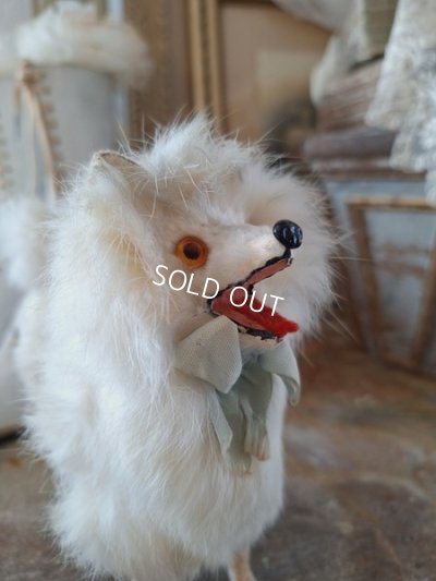 画像4: ジュモードッグ