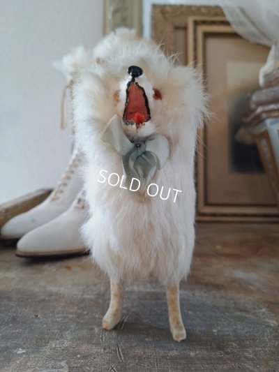 画像10: ジュモードッグ