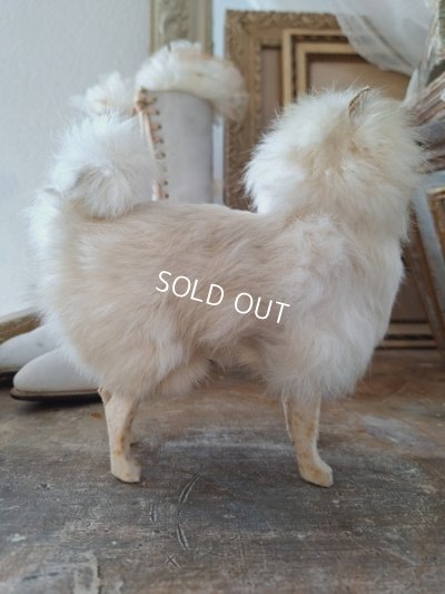 画像14: ジュモードッグ