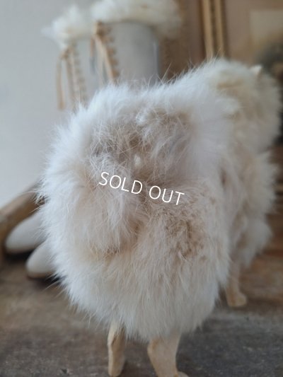 画像11: ジュモードッグ