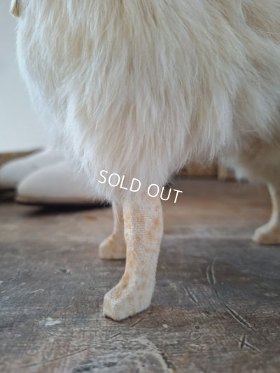 画像19: ジュモードッグ