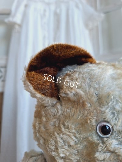 画像8: JPMブルーテディべア