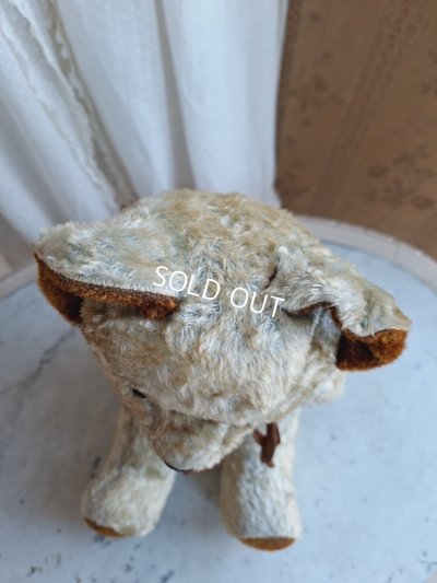 画像13: JPMブルーテディべア