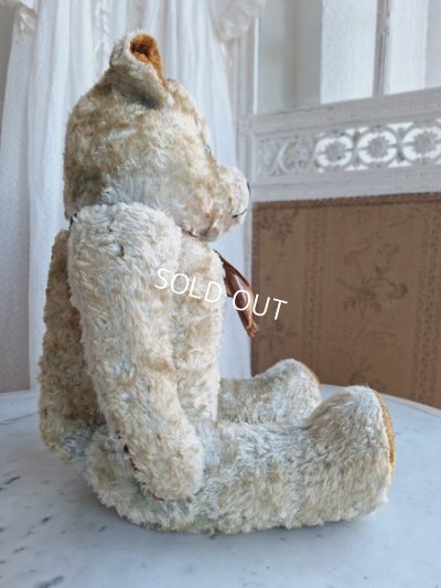 画像6: JPMブルーテディべア