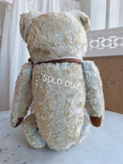 画像7: JPMブルーテディべア