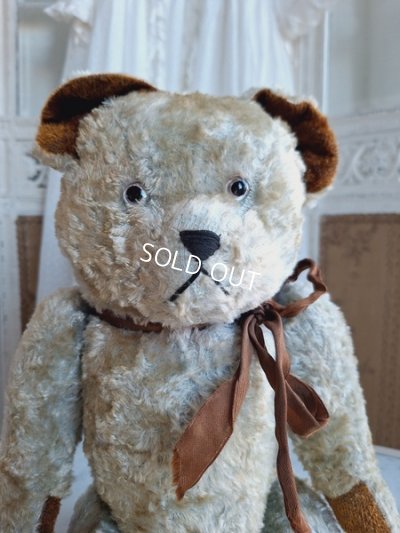 画像2: JPMブルーテディべア