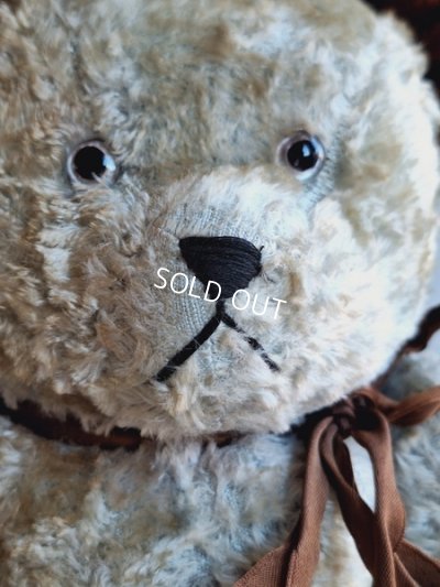 画像4: JPMブルーテディべア