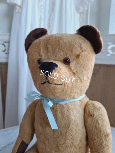 画像6: アンティークフレンチテディベア