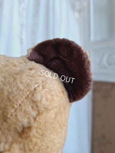 画像7: アンティークフレンチテディベア