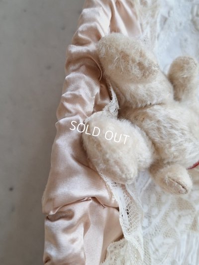 画像4: 小さなホワイトベア