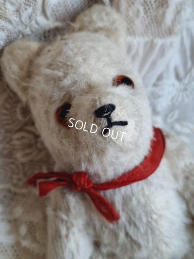 画像8: 小さなホワイトベア