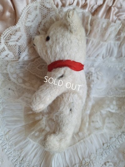 画像11: 小さなホワイトベア