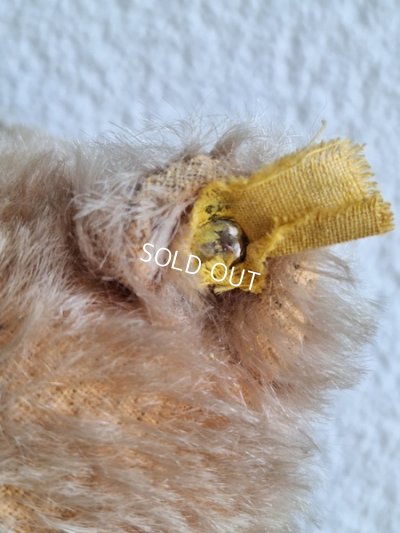 画像7: シュタイフテディベア