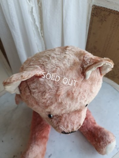 画像6: JPMアンティークピンクテディベア