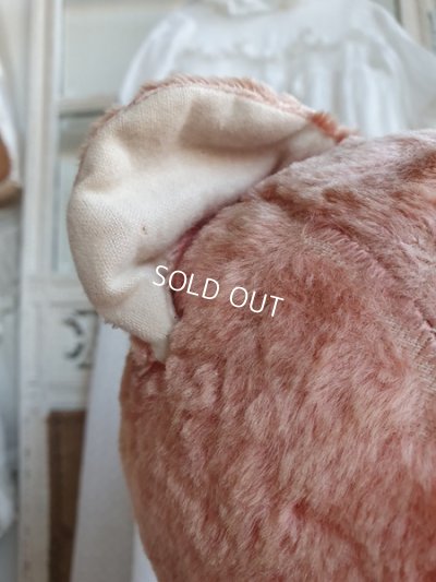 画像10: JPMアンティークピンクテディベア