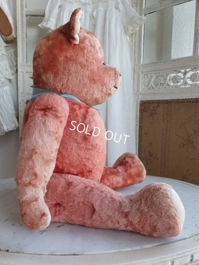 画像15: JPMアンティークピンクテディベア