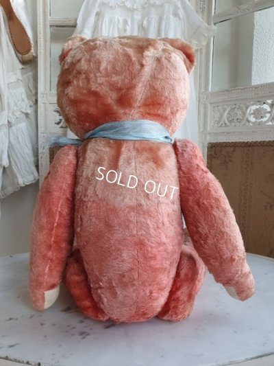 画像14: JPMアンティークピンクテディベア