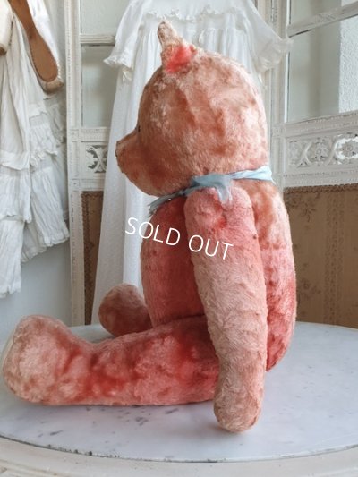 画像16: JPMアンティークピンクテディベア