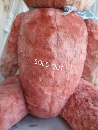 画像11: JPMアンティークピンクテディベア