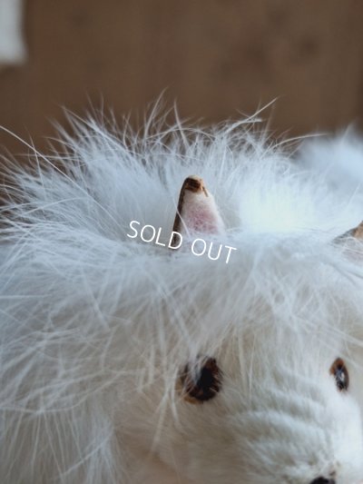 画像9: ジュモードッグ