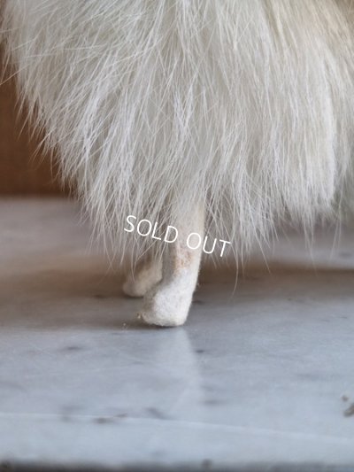 画像13: ジュモードッグ