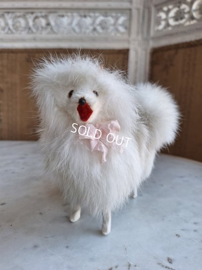 画像7: ジュモードッグ